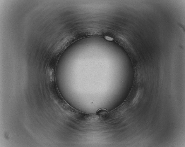 X0000103420123200809191646