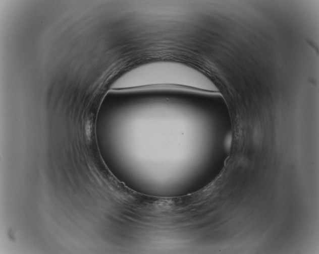 X0000103420124200809191646