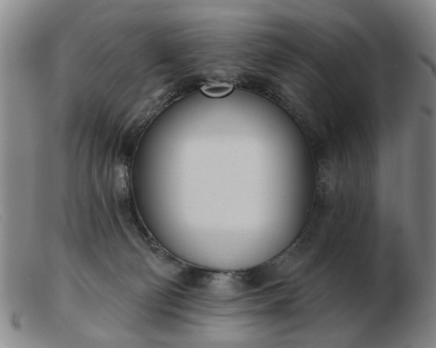 X0000103420130200809191646
