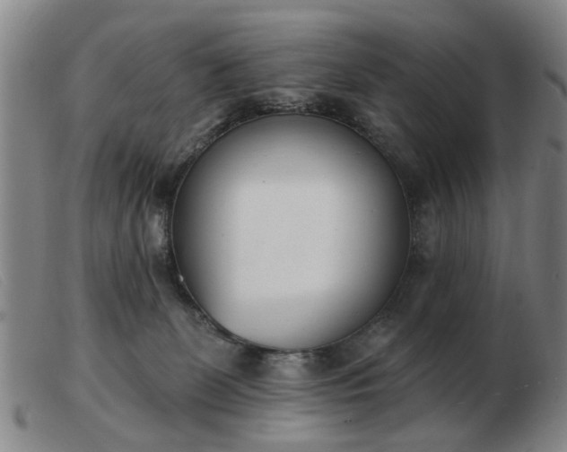X0000103420131200809191646