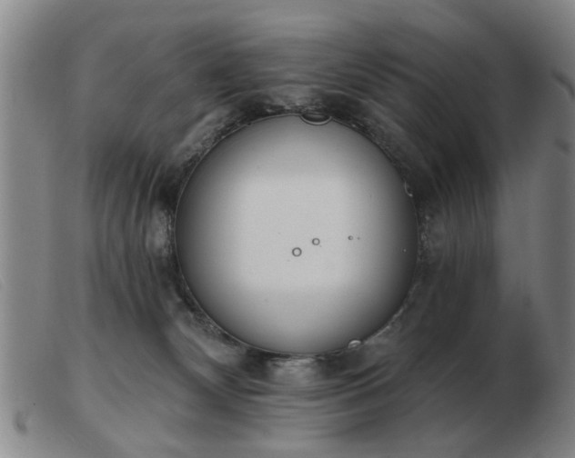 X0000103420132200809191646
