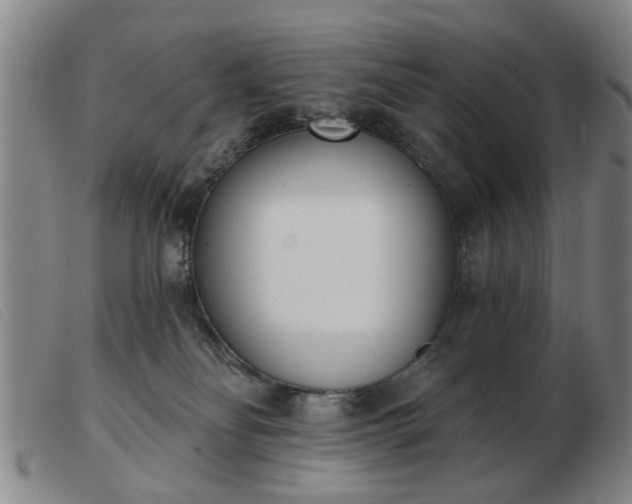 X0000103420134200809191646