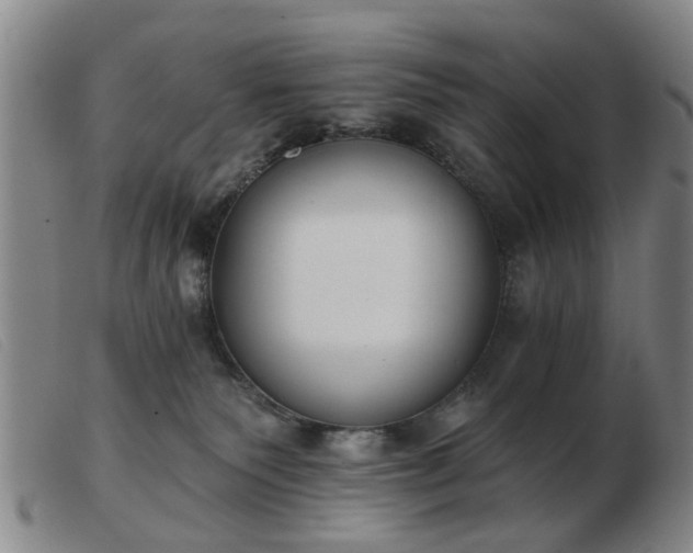 X0000103420135200809191646