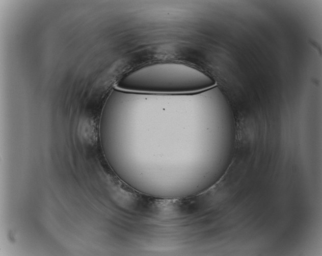 X0000103420136200809191646