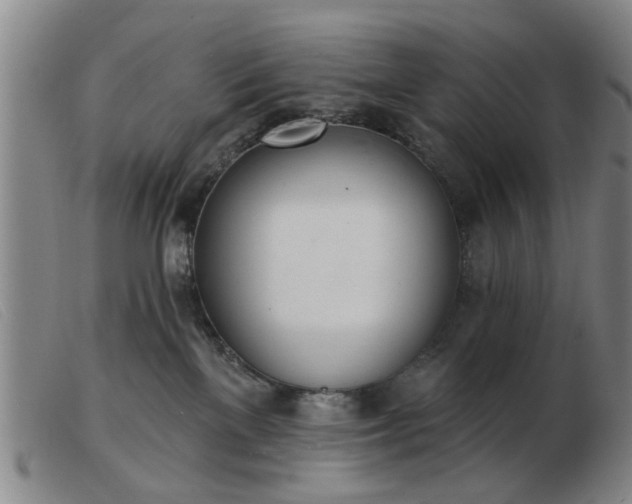 X0000103420137200809191646