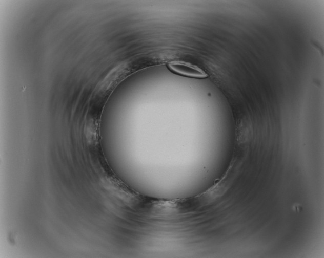 X0000103420140200809191646