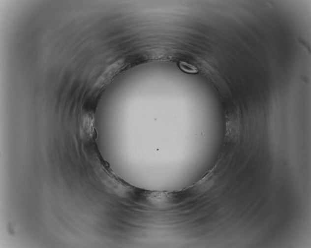 X0000103420142200809191646