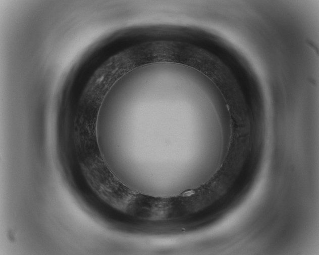 X0000103420143200809191646