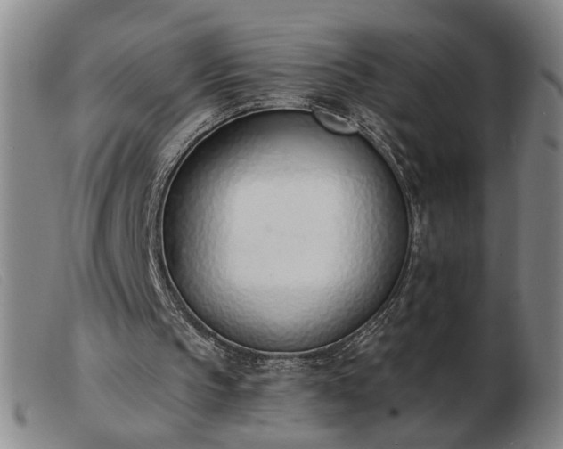 X0000103420145200809191645