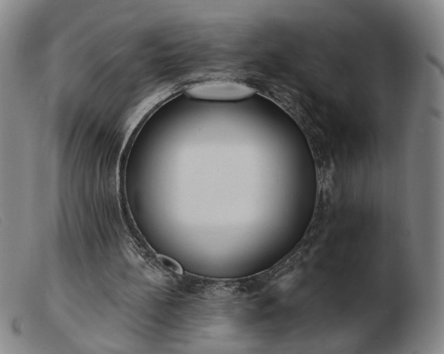 X0000103420148200809191645