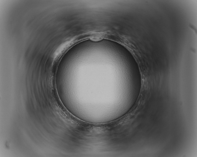 X0000103420149200809191645