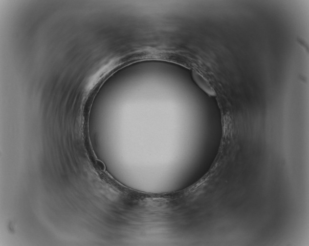 X0000103420150200809191645