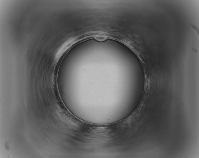 X0000103420151200809191645