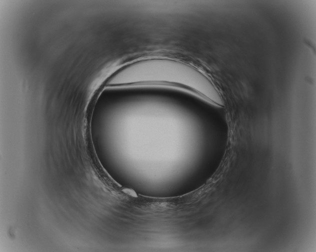 X0000103420152200809191645