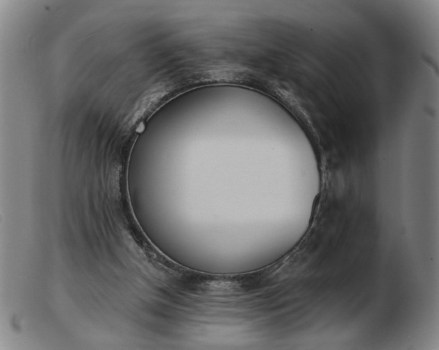 X0000103420154200809191645
