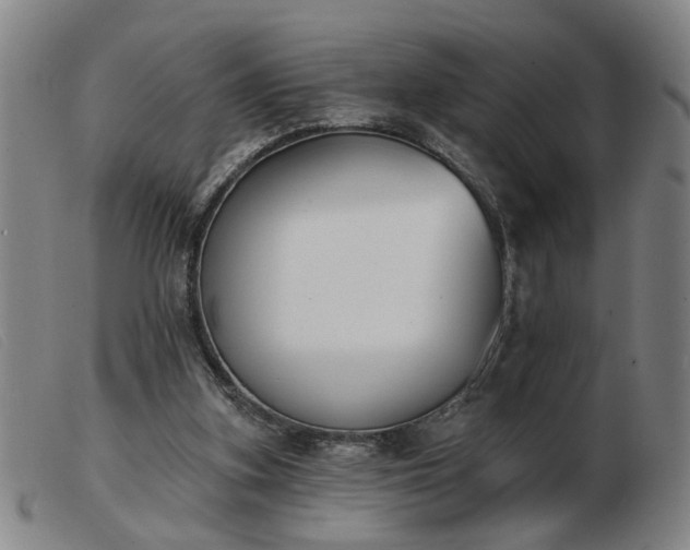 X0000103420155200809191645
