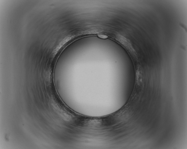 X0000103420156200809191645