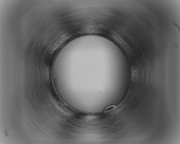 X0000103420158200809191645
