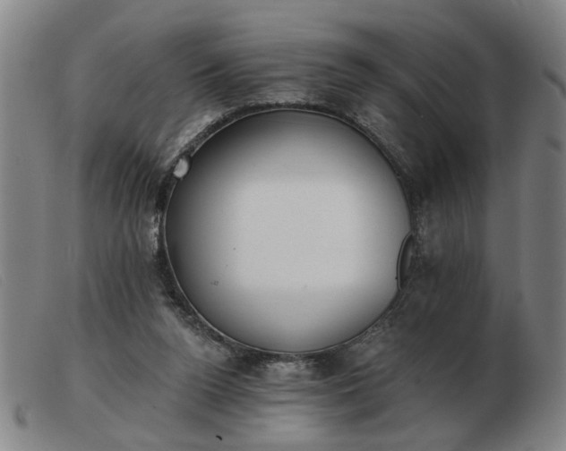 X0000103420160200809191645