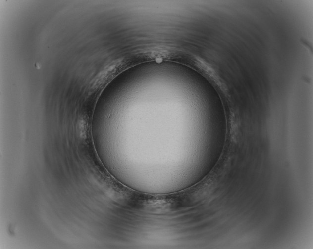 X0000103420161200809191645