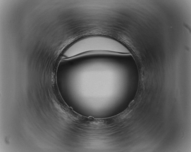 X0000103420164200809191645