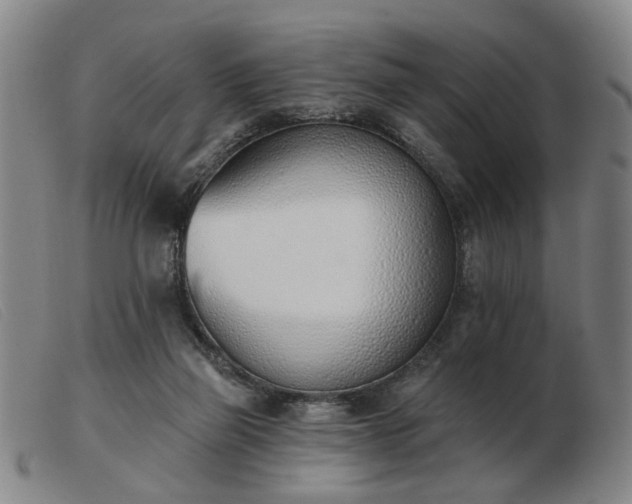 X0000103420165200809191646