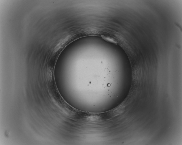 X0000103420168200809191646