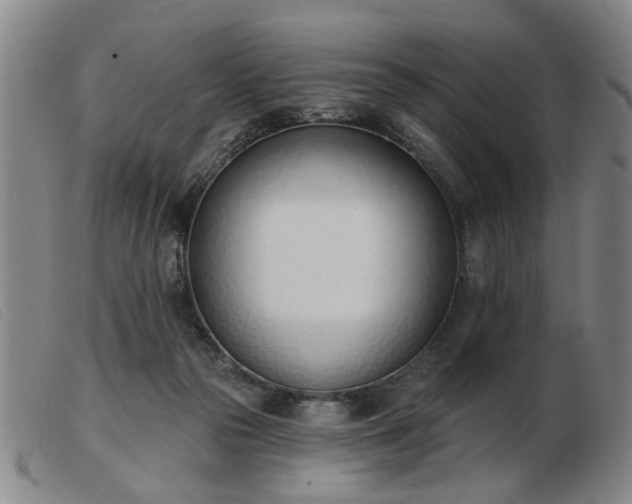 X0000103420169200809191646