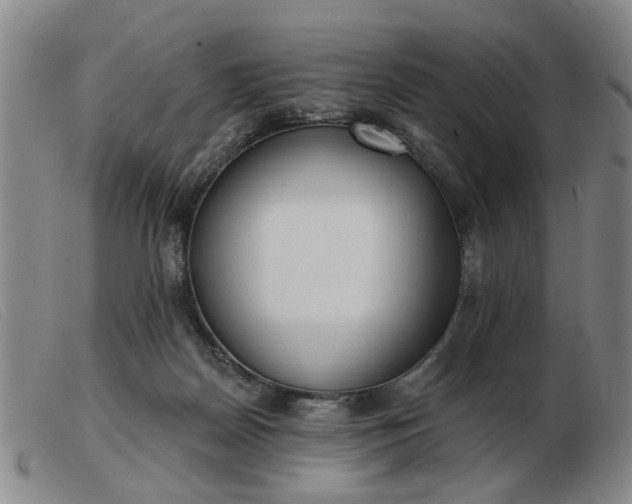 X0000103420170200809191646