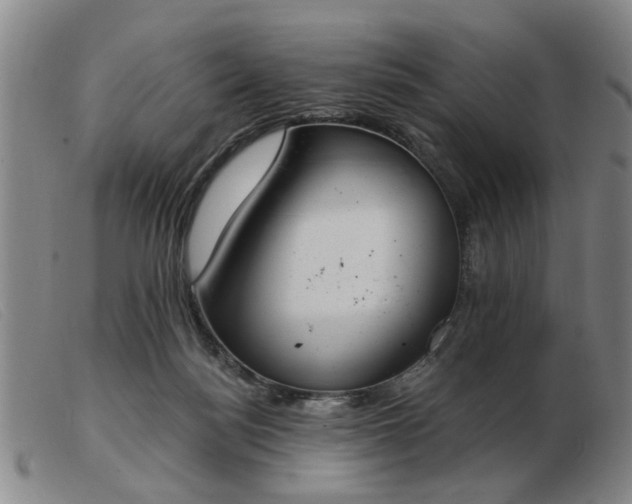 X0000103420172200809191646