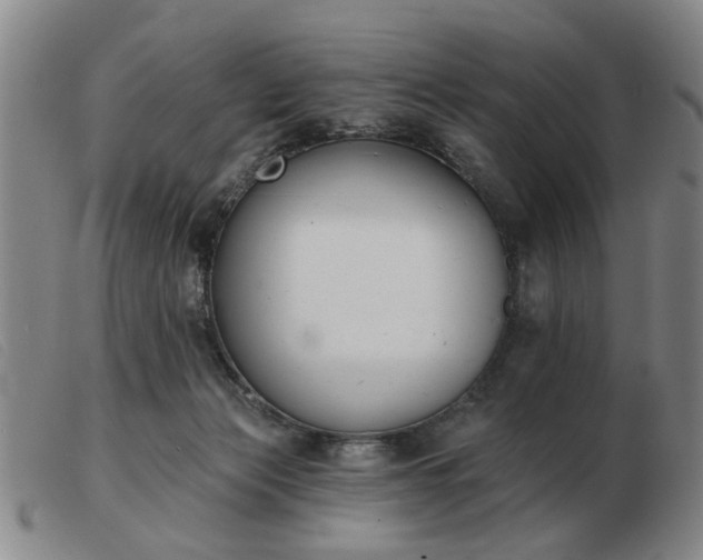 X0000103420173200809191646