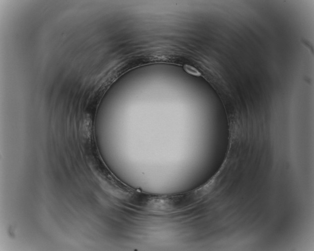 X0000103420174200809191646