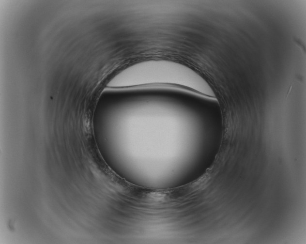 X0000103420176200809191646