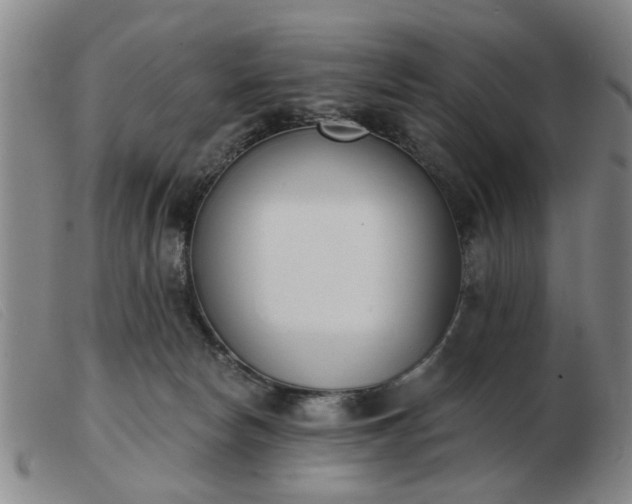 X0000103420178200809191646