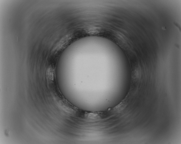 X0000103420180200809191646