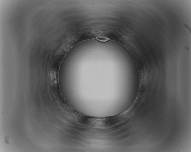 X0000103420182200809191646