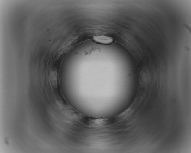X0000103420184200809191646