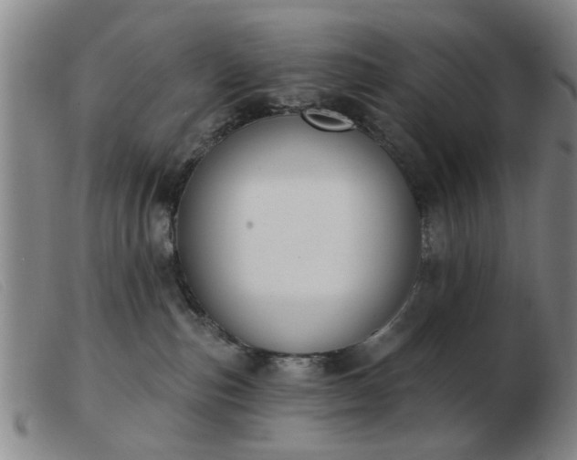 X0000103420187200809191646