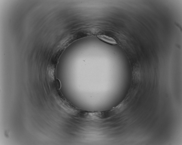 X0000103420188200809191646