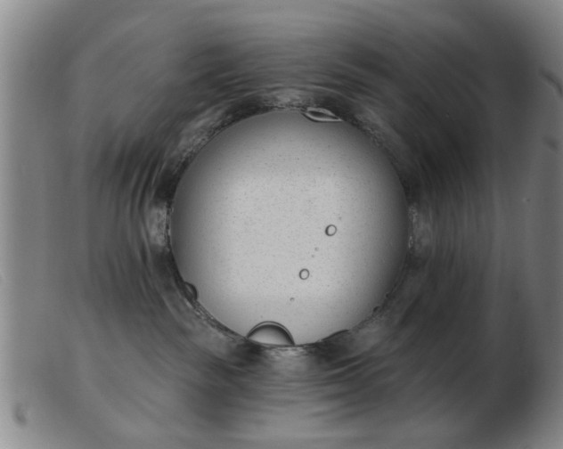 X0000103420189200809191646