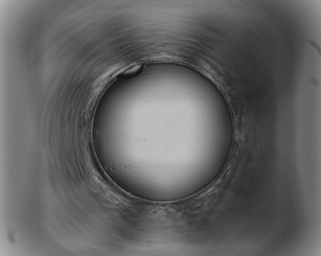 X0000103420193200809191645