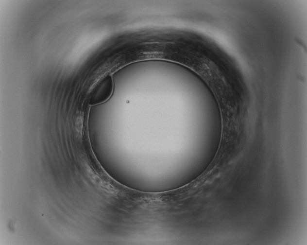 X0000103420194200809191645