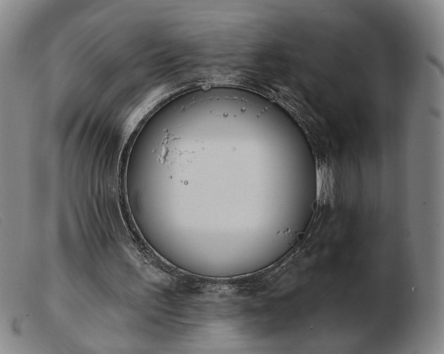 X0000103420195200809191645