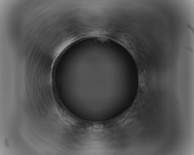 X0000103420196200809191645