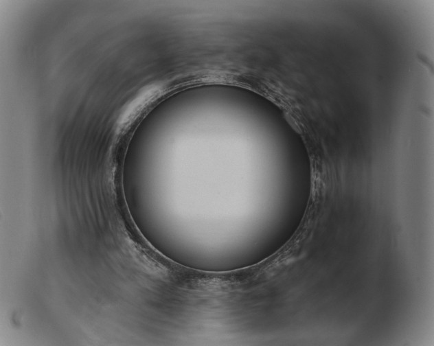 X0000103420197200809191645