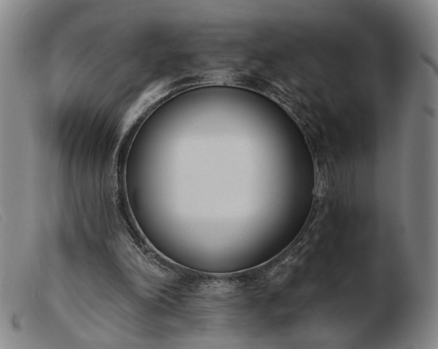 X0000103420198200809191645
