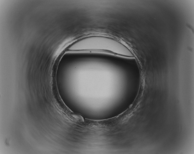 X0000103420199200809191645