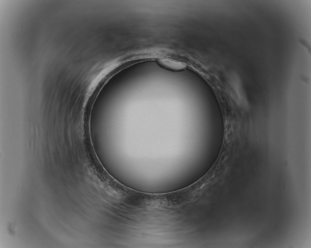 X0000103420200200809191645