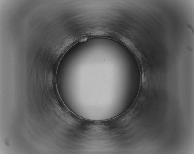 X0000103420201200809191645