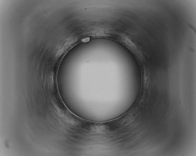 X0000103420202200809191645